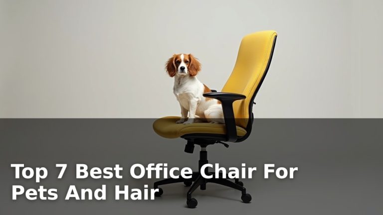 Top 7 Best Office Chair For Pets And Hair